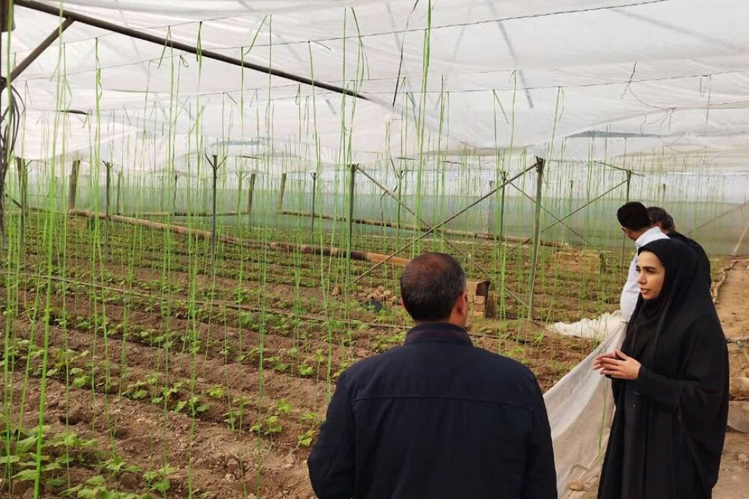 دهیار روستای رستم آباد ورامین: نرخ بیكاری در این روستا، صفر است