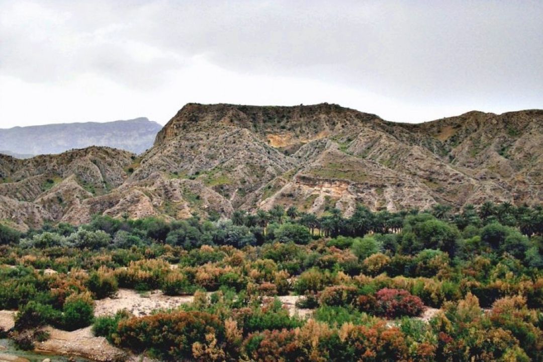  رونق كشاورزی در روستای انارستان كازرون استان فارس