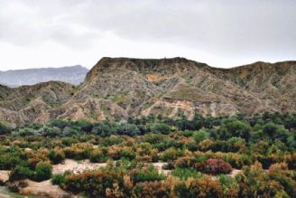  رونق كشاورزی در روستای انارستان كازرون استان فارس