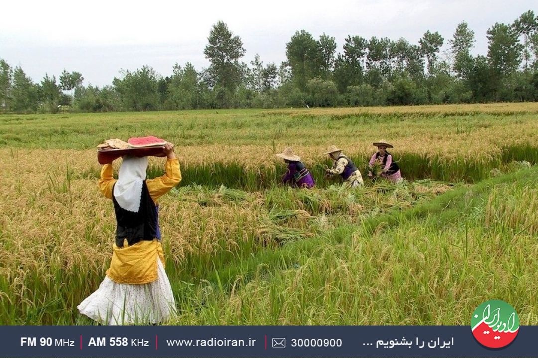 تقویت اقتصاد روستایی