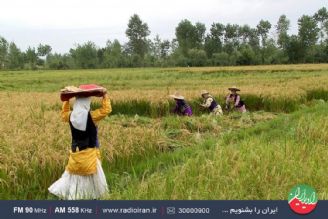 تقویت اقتصاد روستایی