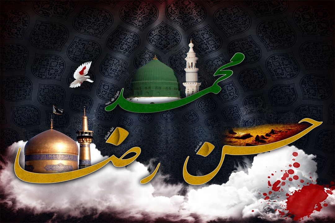 سیره رضوی در 