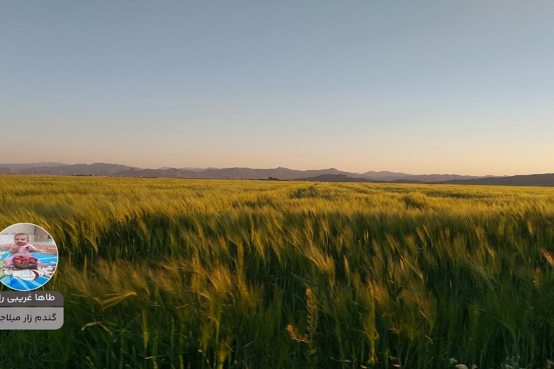 طاها غریبی راد پویش زیبای ایران من