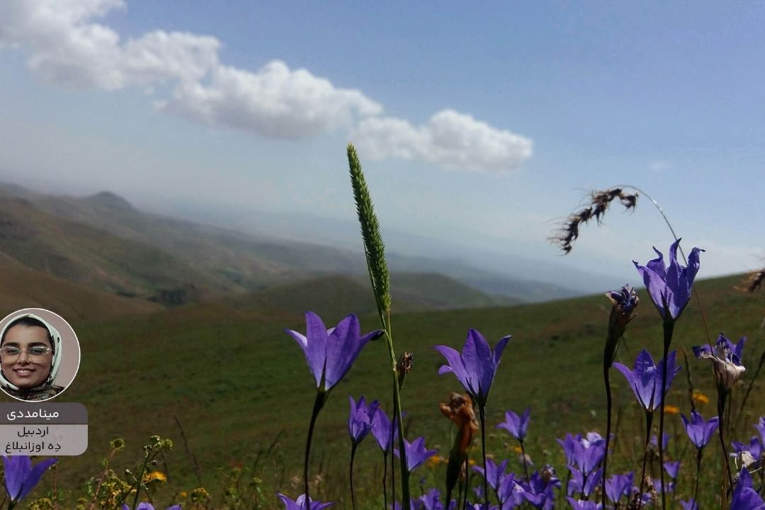 مینا مددی پویش زیبای ایران من