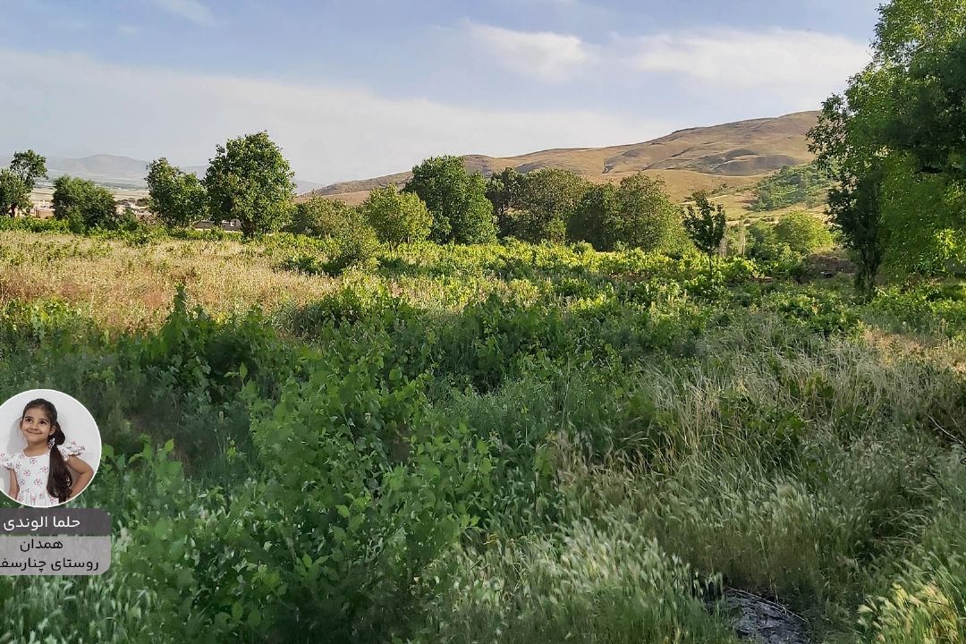 حلما الوندی  پویش زیبای ایران من