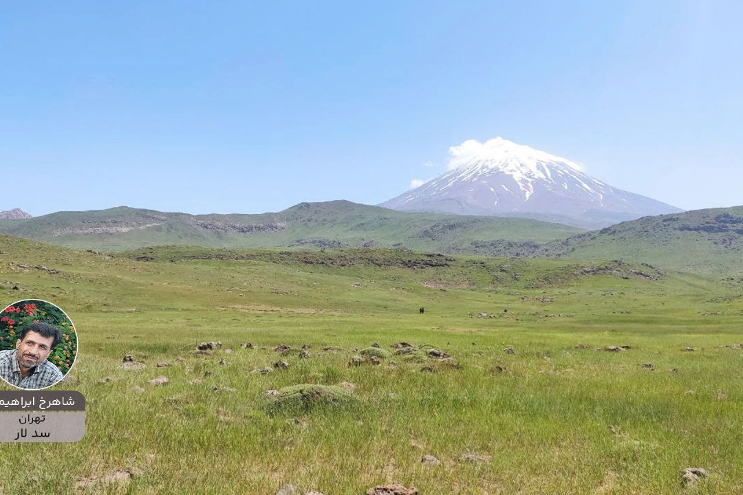 شاهرخ ابراهیمی پویش زیبای ایران من