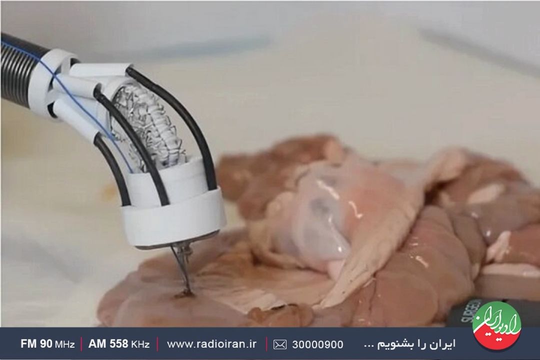 ترمیم بافت های نرم و سخت با چاپگر سه بعدی