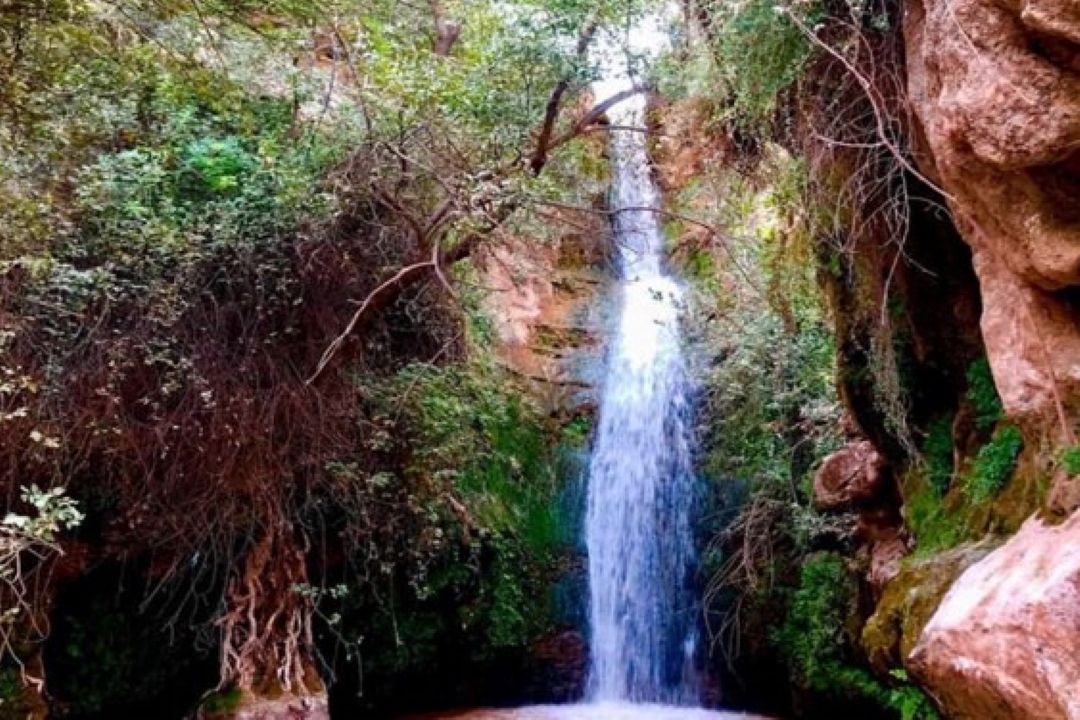 روستای كلم