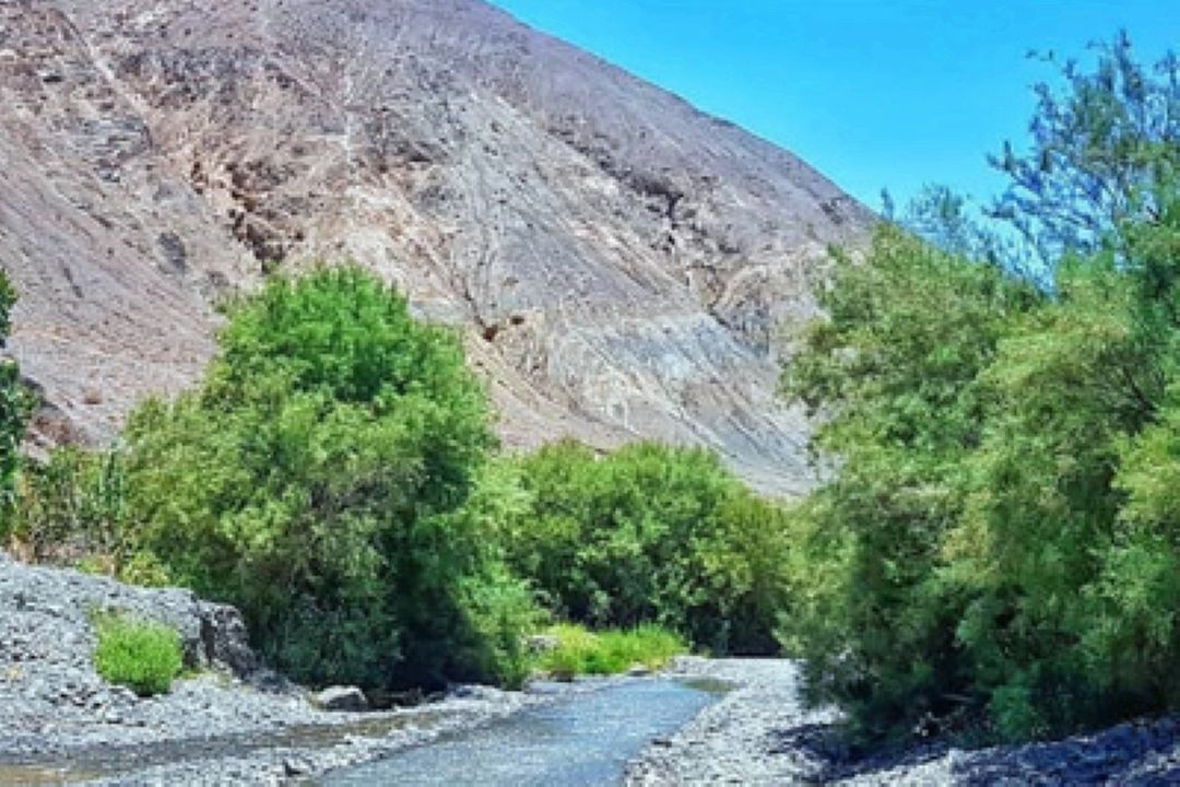 روستای سیرچ