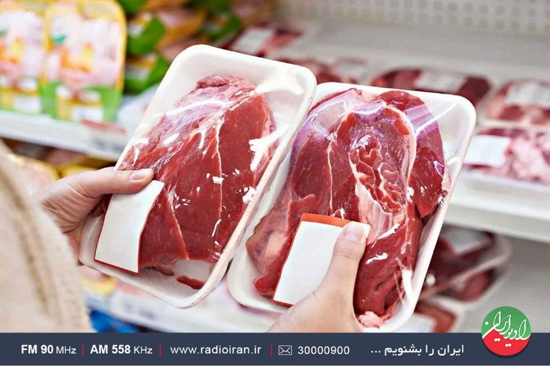 واردات گوشت قرمز نقشی در كاهش قیمت نداشته است