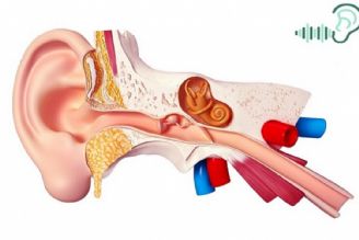 اوتیت مدیا روی آنتن رادیو سلامت