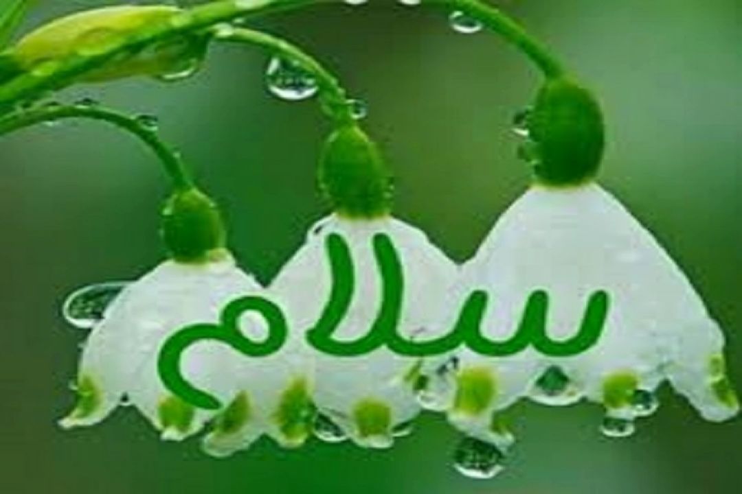 به چی می گیم سلام 