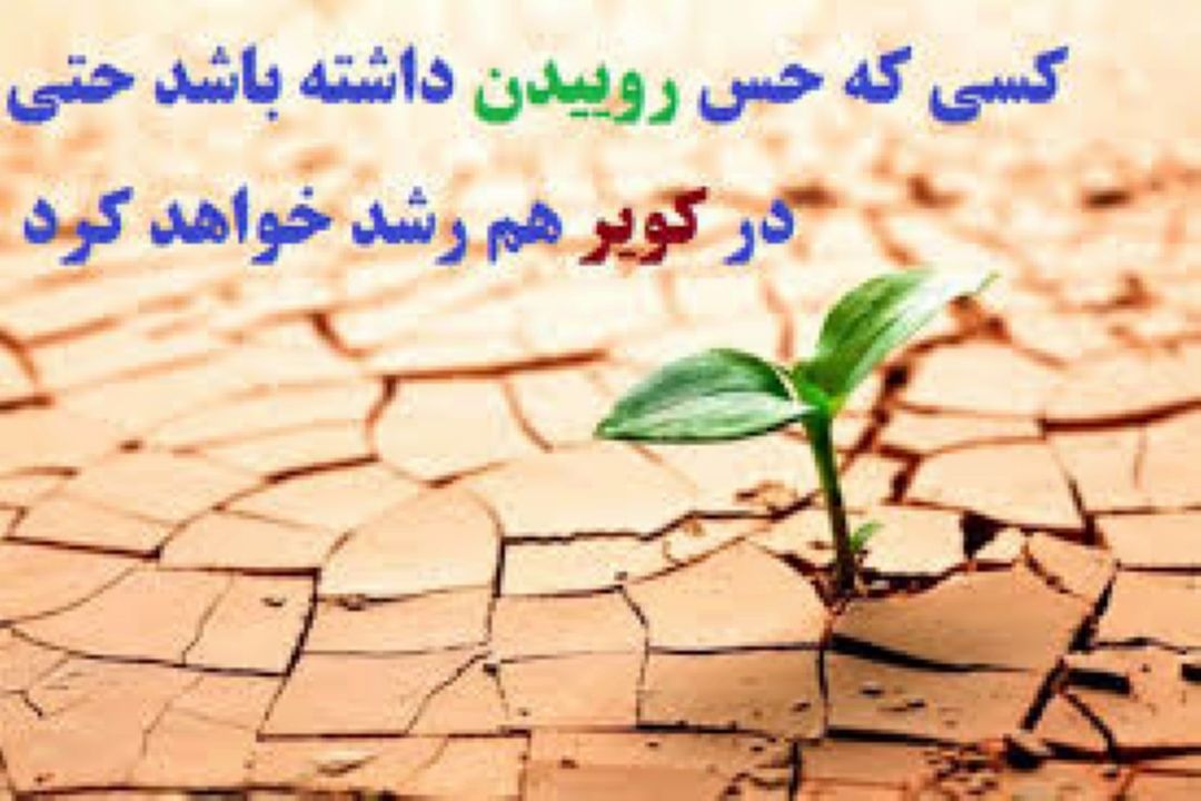 امید در زندگی 