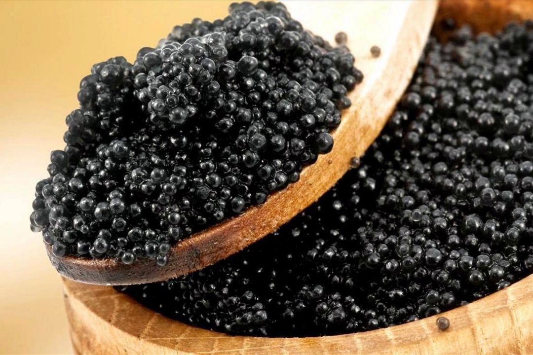منهای نفت - خاویار