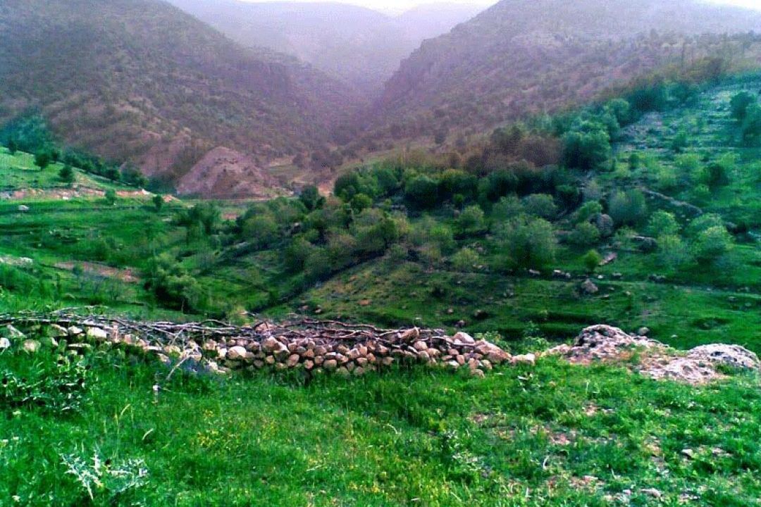  روستای طسوج 