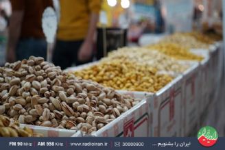 استقبال از نمایشگاه‌های بهاره چشمگیر بوده است