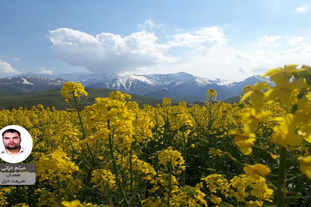 پویش ایران زیبای من"میثم خزائی"