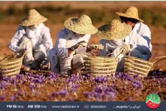 با رایزنان جمهوری اسلامی ایران ارتباطات خوبی داریم 