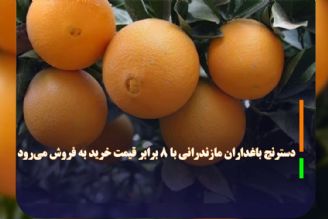 دسترنج باغداران مازندران با 8 برابر قیمت خرید به فروش می‌رود 