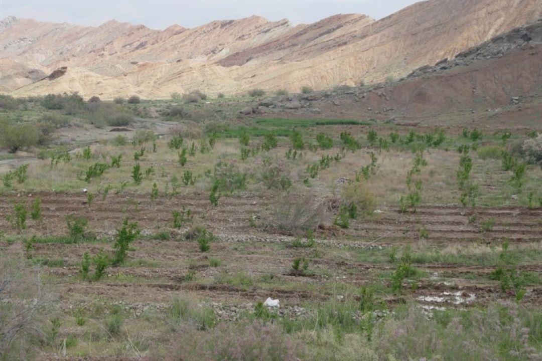 شوری منابع آب و خاك روی شیب تند