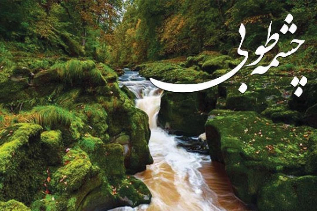 سخن از بیمه معنوی زندگی در برنامه چشمه طوبی 