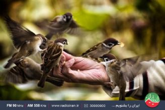 سخاوتمندان با خدا معامله می‌كنند