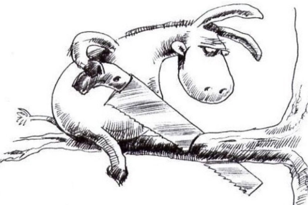 خر حیوان نجیبی است؛ خرپژوهی در نظم و نثر فارسی