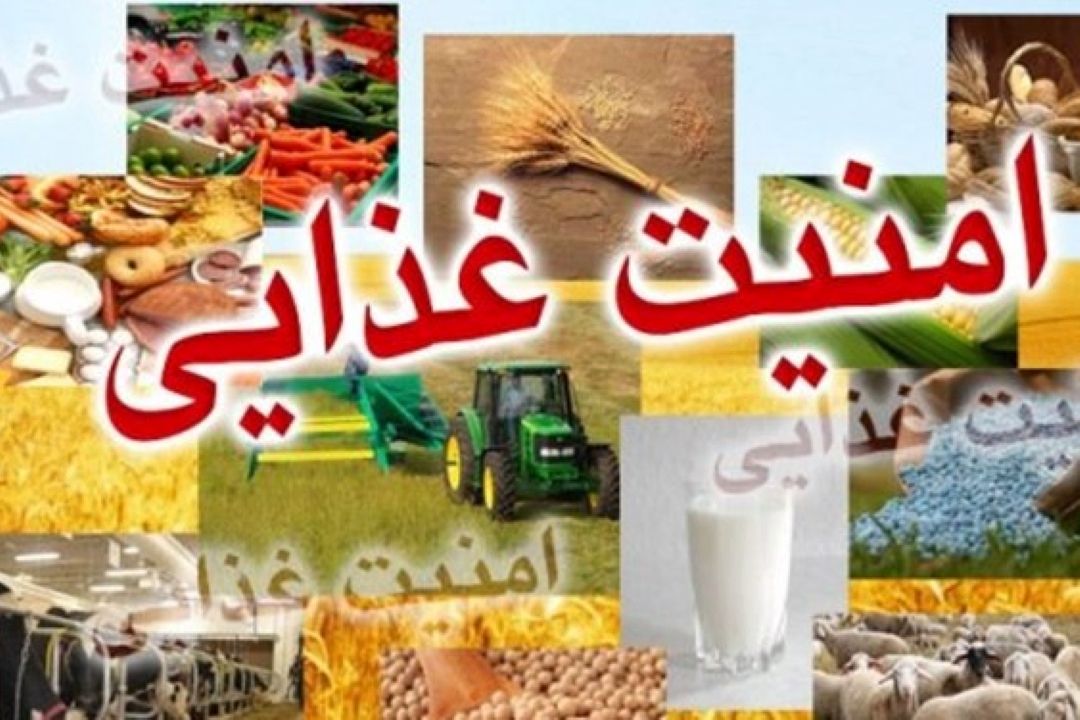 نقش دولت ها در  تأمین امنیت غذایی 