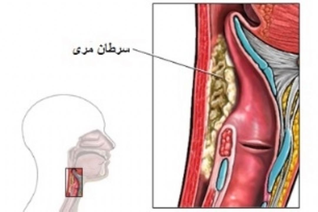 نبض