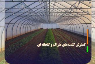 گسترش كشت های متراكم و گلخانه ای در دستور كار جهاد كشاورزی