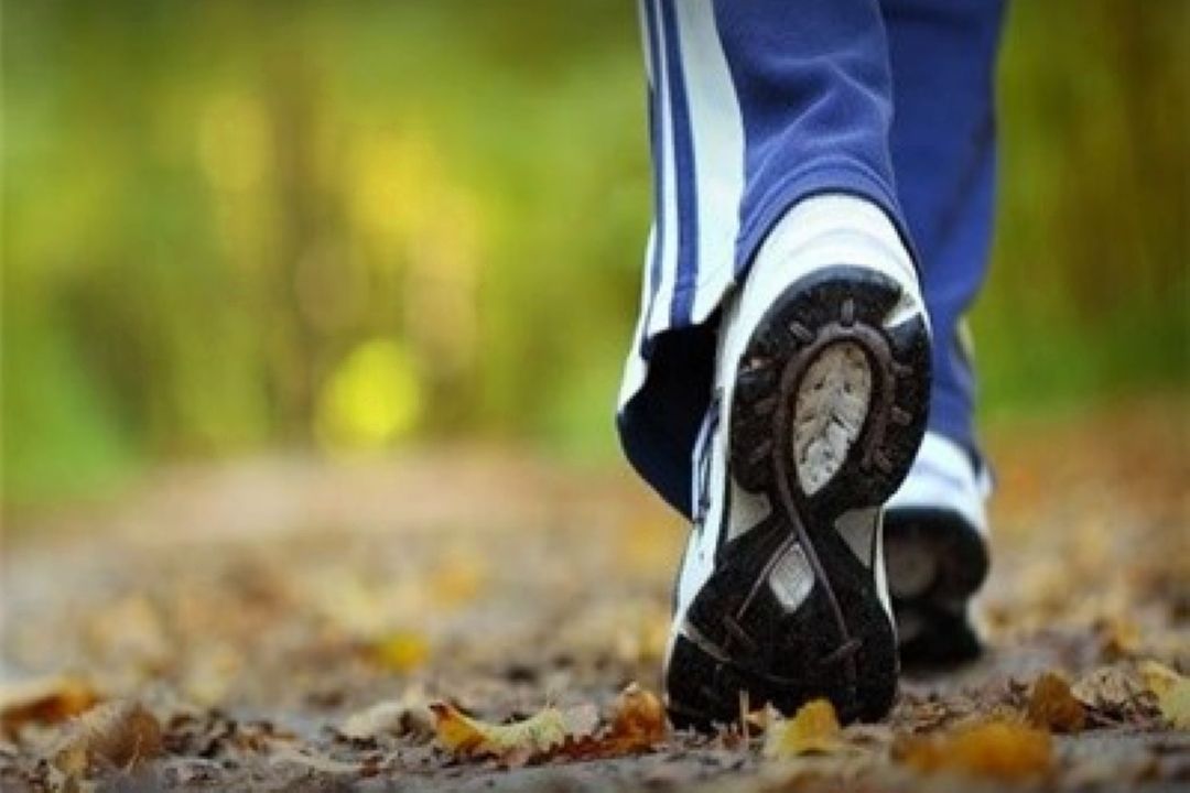 پیاده روی گزینه ای دیگر 