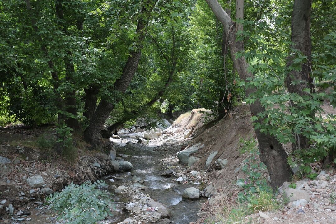 فاز یك رود دره فرحزاد آماده افتتاح شد