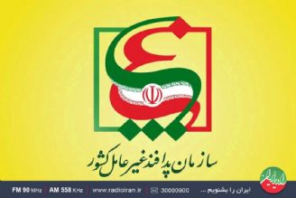 مدیر روابط عمومی و معاونت فرهنگی سازمان پدافند غیر عامل روی خط «نمودار»