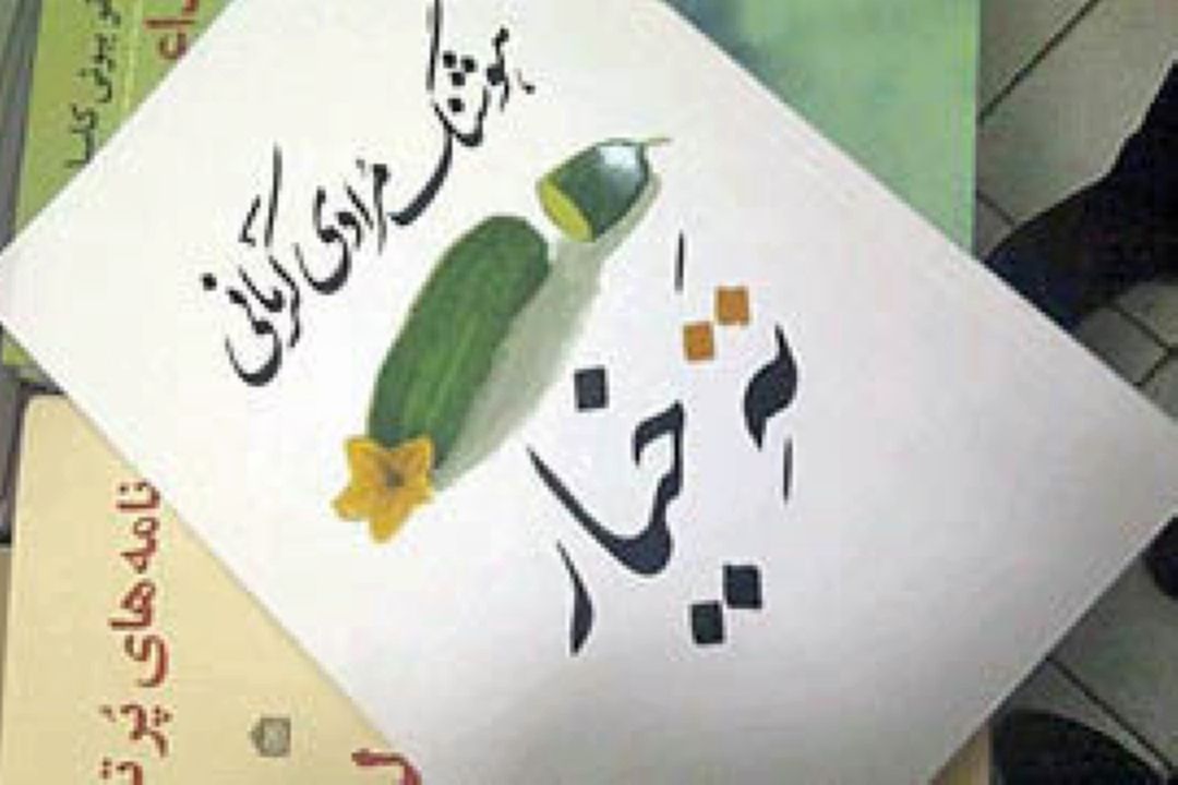 ته خیار به روایت امیر حسین مدرس 