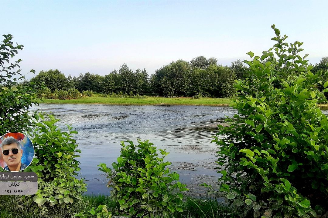 پویش ایران زیبای من "سعید عباسی"