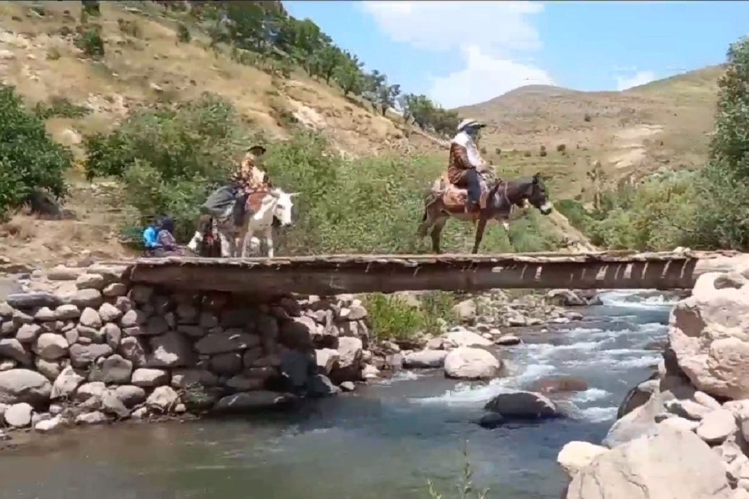 شاعر خوش‌قریحه روستایی