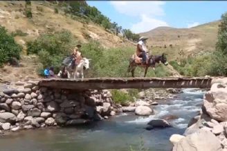 شاعر خوش‌قریحه روستایی