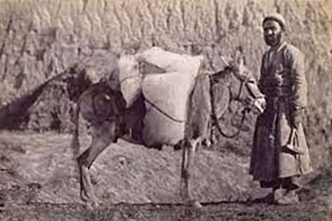 سوال خنك