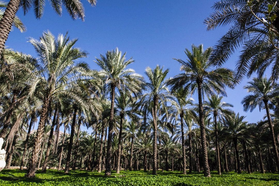 مازندران جنوب، گنجینه‌ای پنهان از زیبایی‌ها و فرهنگ‌های فراموش‌شده