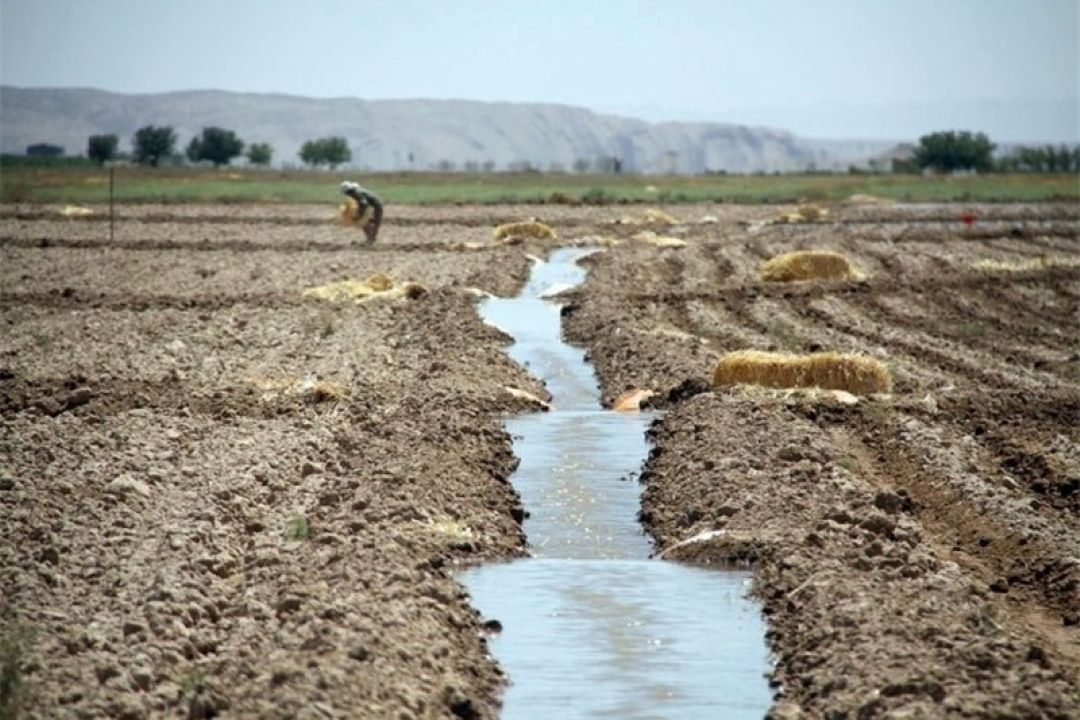 جلوگیری از هدر رفت انرژی در بخش كشاورزی ضرورت دارد