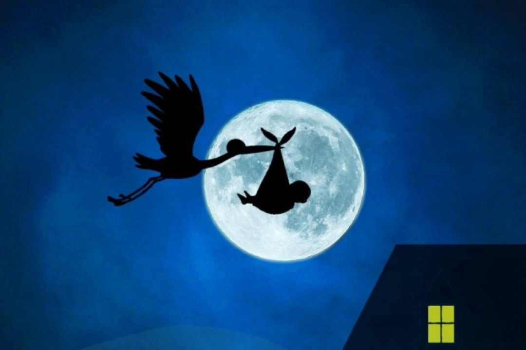 كارت دعوتی برای لك لك ها