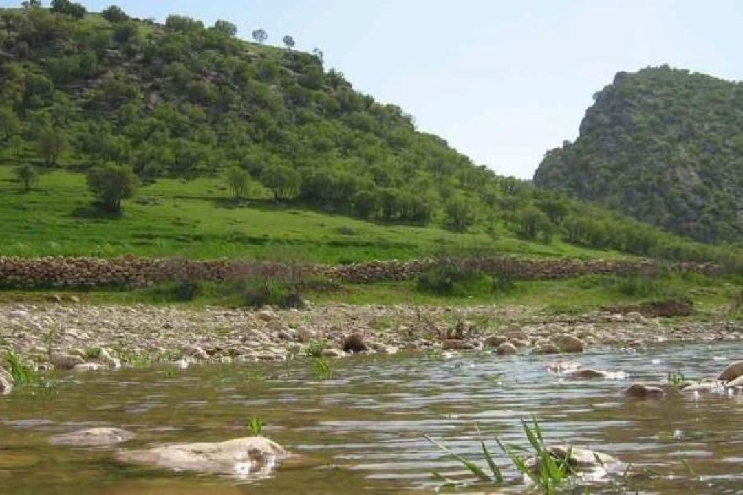 «روستا دوستا» به زنجیره علیا می‌رود