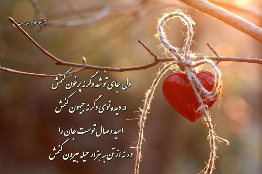 دل جای تو شد وگرنه پر خون كنمش