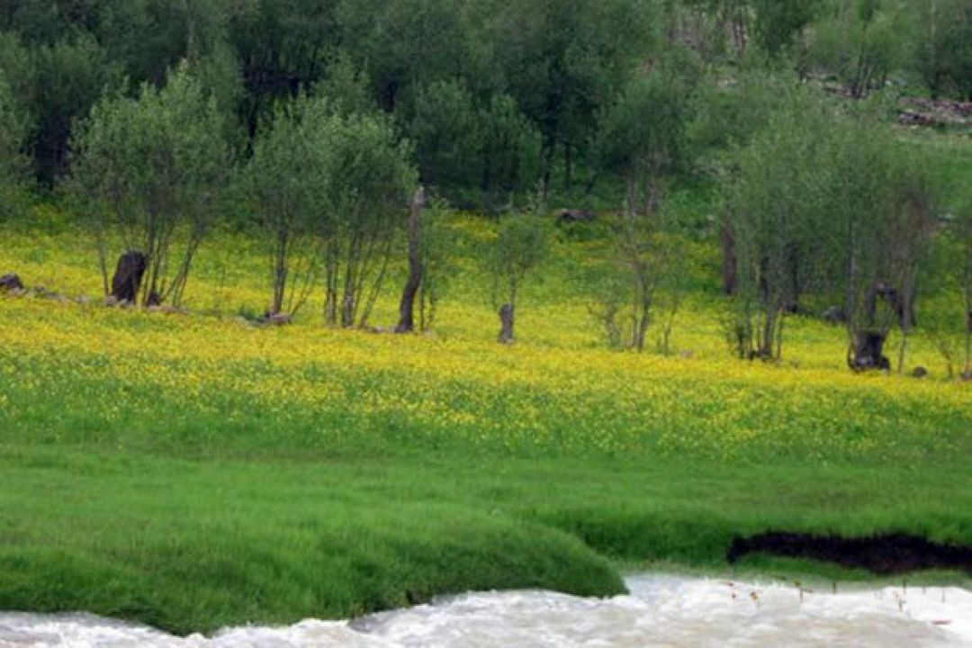 انجام كارهای دلخواه در 