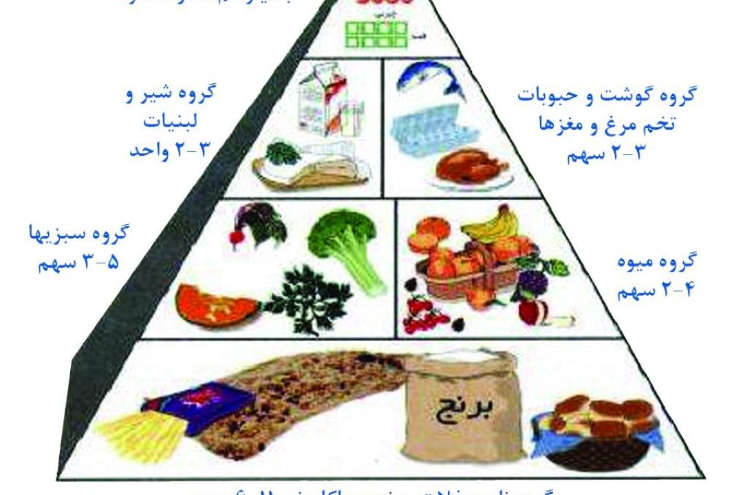نقش تغذیه در افزایش كارایی كاركنان