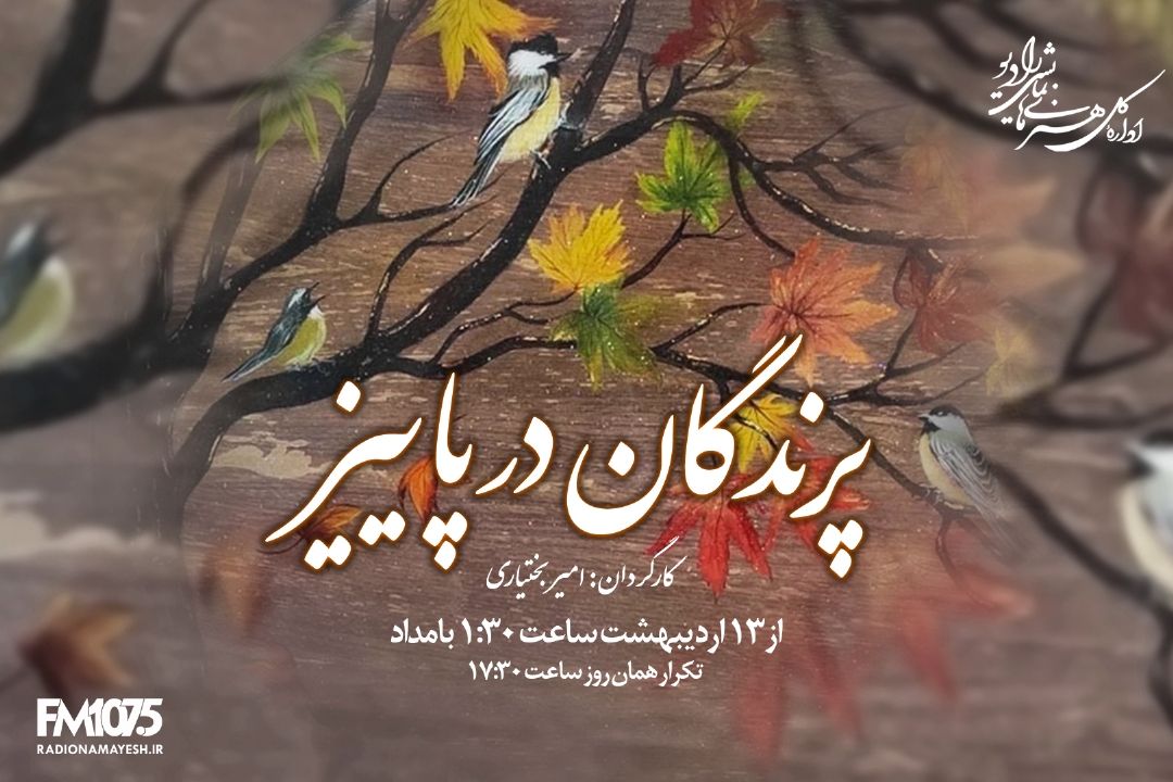 پرندگان در پاییز