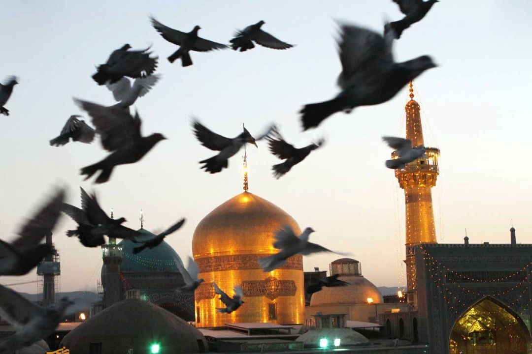 «زنگ انشا» ویژه دهه كرامت: تجلی مهربانی امام رضا (ع) در كلام دانش‌آموزان