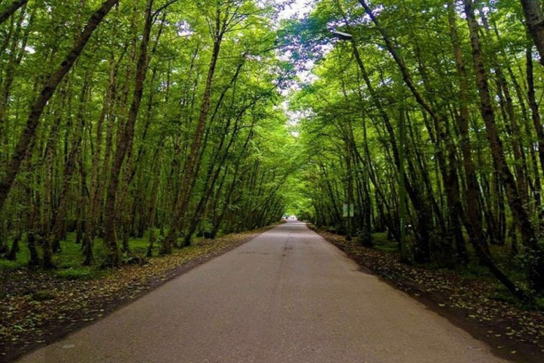 سفری به روستای گیسوم: جاذبه‌های گردشگری در برنامه «روستا دوستا»