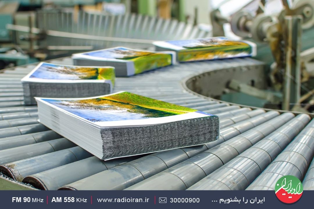 یارانه دولت چاره نهایی صنعت نشر نیست