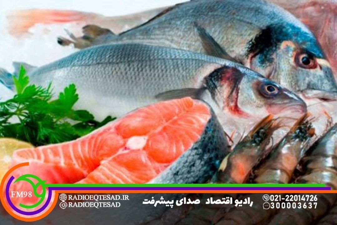 مصرف آبزیان در كشور رو به افزایش است